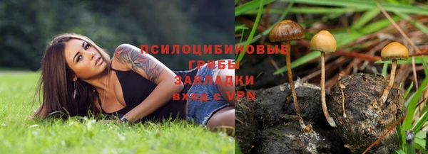 стафф Абинск
