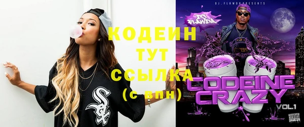стаф Рославль